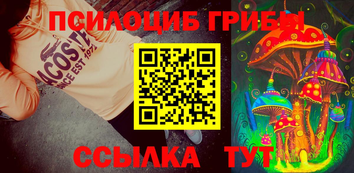 Галлюциногенные грибы Psilocybe Ижевск