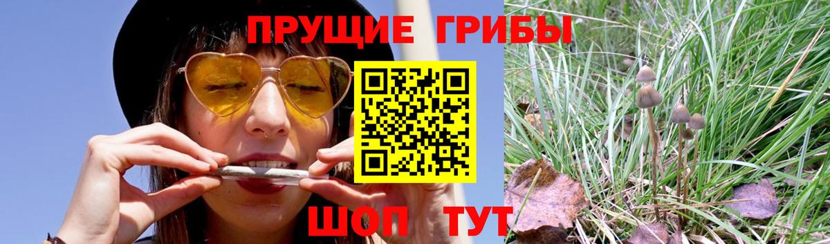 Псилоцибиновые грибы ЛСД  Вход с VPN  Ижевск 
